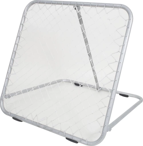 Ball Rebound Amila 48599