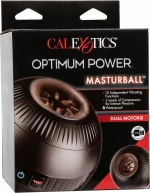 Calexotics Optimum Power Masturball