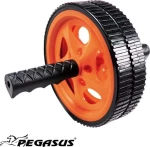 Ρόδα Κοιλιακών διπλή Pegasus® Β 2005