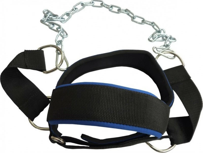 Power System Head Harness PS-4039