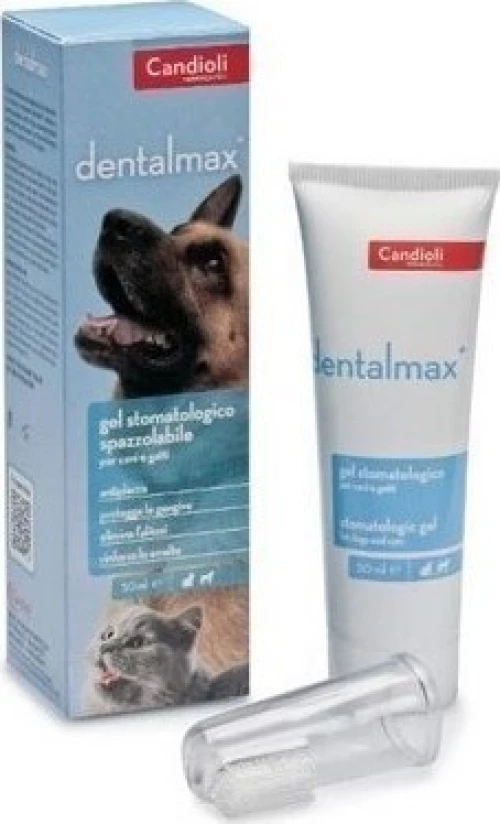 DENTALMAX ΟΔΟΝΤΟΚΡΕΜΑ ΜΕ ΟΔΟΝΤΟΒΟΥΡΤΣΑ