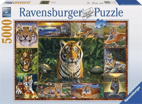 Παζλ 5000 Τεμ. Ravensburger Τιγρεις (#717424)