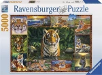 Παζλ 5000 Τεμ. Ravensburger Τιγρεις (#717424)