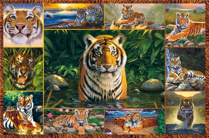 Παζλ 5000 Τεμ. Ravensburger Τιγρεις (#717424)