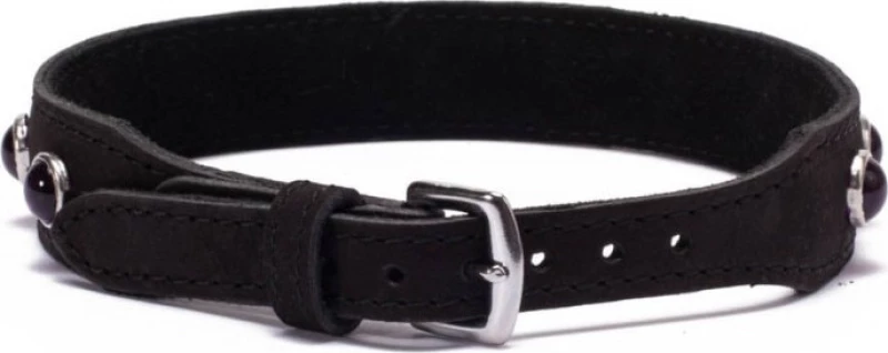 Devil Sticks Crystal Collar Hot Pink