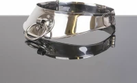 METALHARD RESTRICTED SLAVE COLLAR