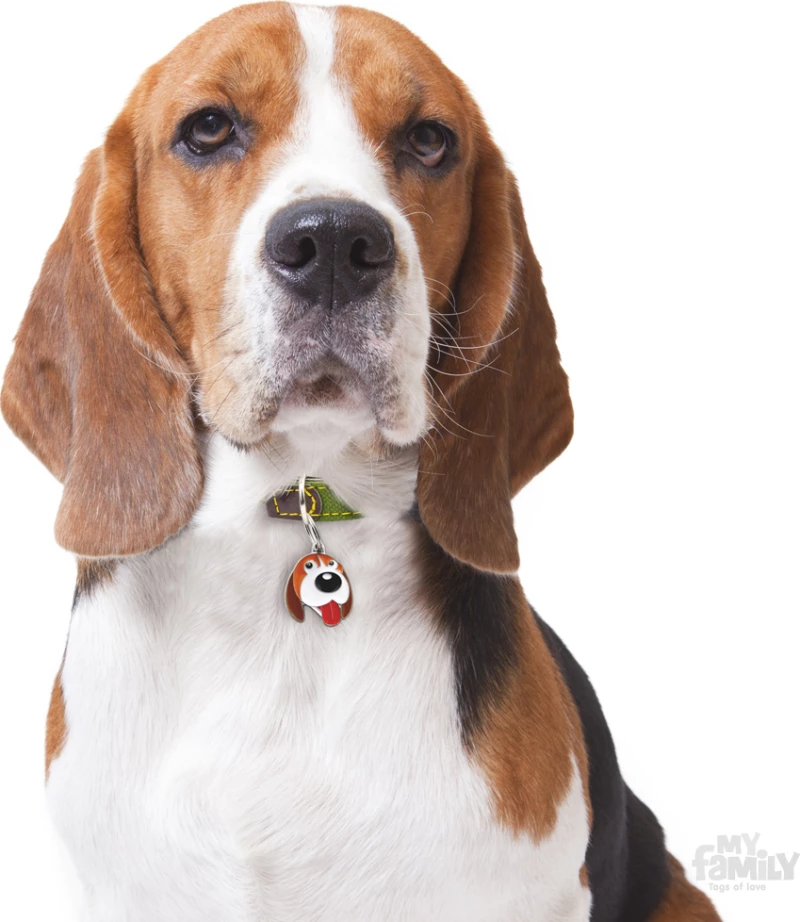 My Family Friends Beagle Ταυτότητα Μενταγιόν
