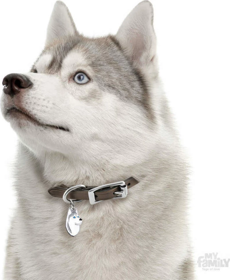 My Family Friends Husky Ταυτότητα