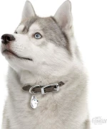 My Family Friends Husky Ταυτότητα