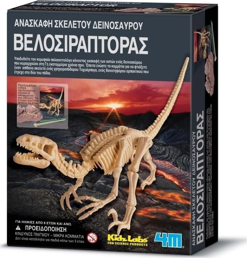 4M Δεινόσαυρος Ανασκαφή Βελοσιράπτορας