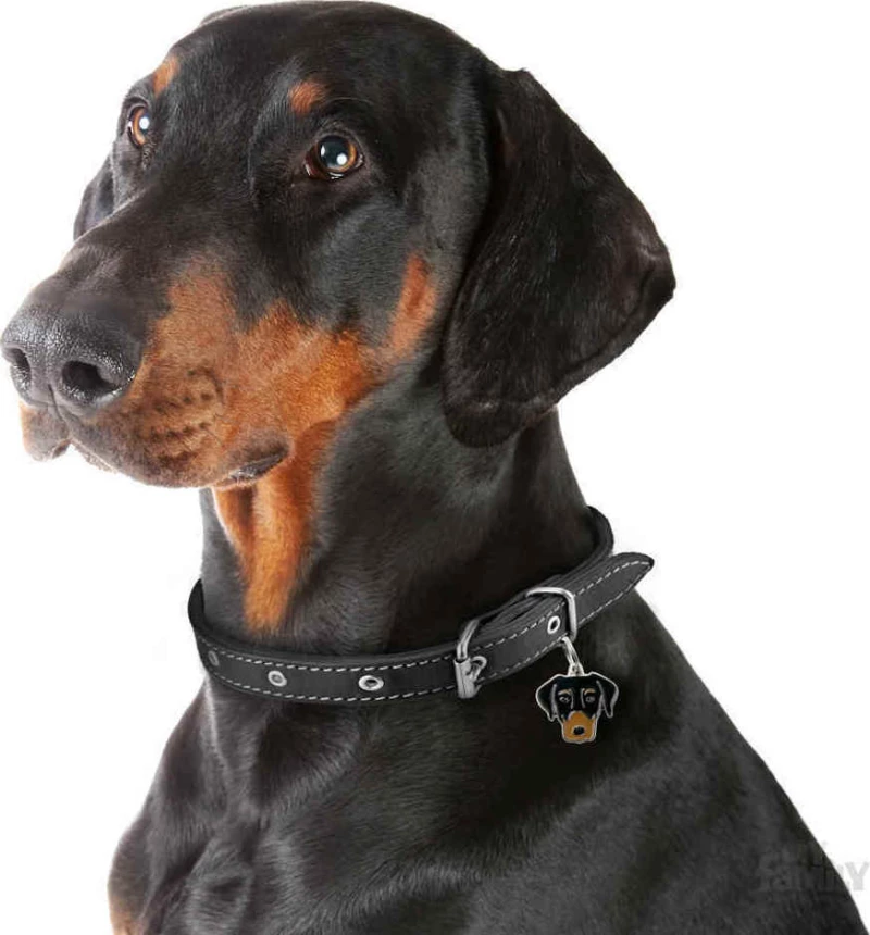 ΤΑΥΤΟΤΗΤΑ ΣΚΥΛΟΥ MY FAMILY DOBERMANN