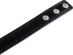 FETISH ADDICT COLLAR WITH HOOP ADJUSTABLE 38.2cm BLACK - ΚΟΛΑΡΟ ΜΕ ΔΑΚΤΥΛΙΟ