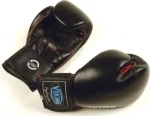 Viking GS-1003