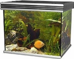 Mediterannean Poseidon Aluminium 60x50x55cm 165lt Γκρι