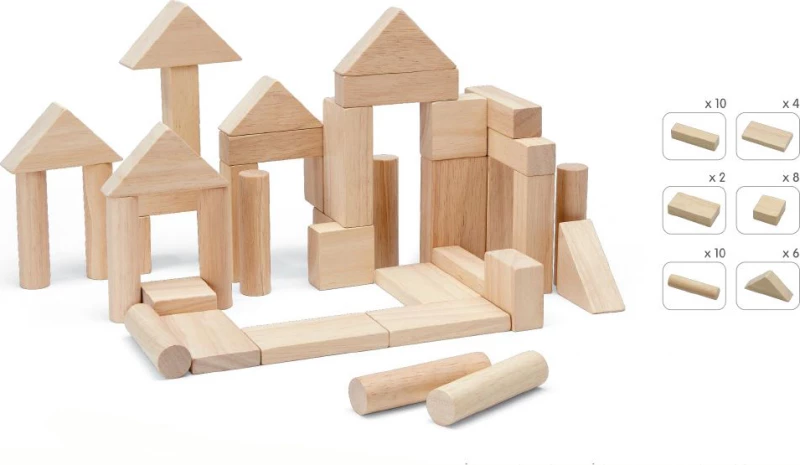 Plan Toys Ξύλινα Τουβλάκια 40τμχ