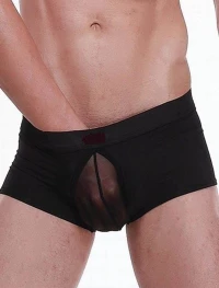 Black boxer with transparency