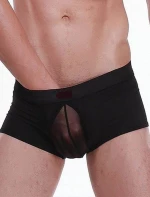 Black boxer with transparency