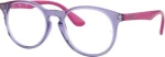 Ray Ban RB1554 3810