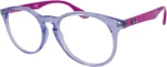 Ray Ban RB1554 3810