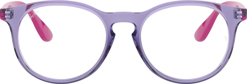 Ray Ban RB1554 3810