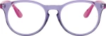 Ray Ban RB1554 3810