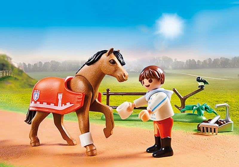 Playmobil Country: Collectible Connemara Pony
