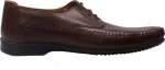 Member Shoes 3555 Brown