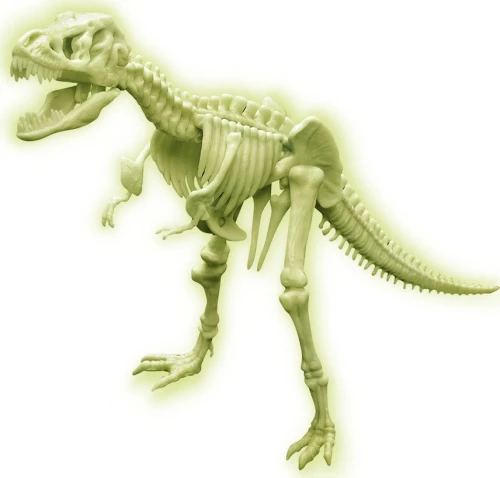 4M T Rex Skeleton