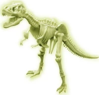 4M T Rex Skeleton