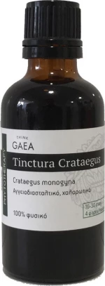 Think GAEA Βάμμα Κράταιγος 50ml