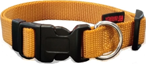 Pet Interest Plain Line Medium Χρυσό 20mm x 32-50cm