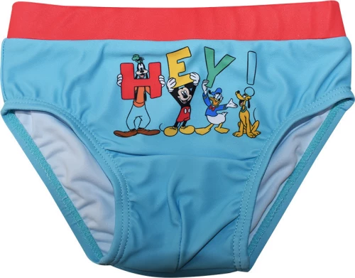 Stamion Mickey Hey D92102