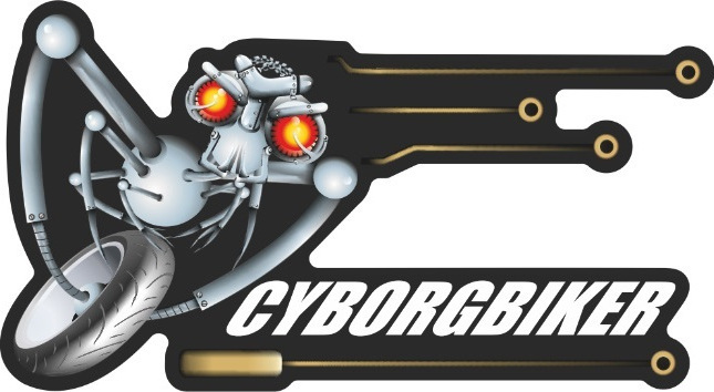 ΑΥΤΟΚΟΛΛΗΤΟ ΔΙΑΚΟΣΜΗΤΙΚΟ UNIVERSAL CYBORGBIKER LUX LABEL 2PCS 5012P| PRINT