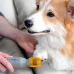 Pedi Paws Σύστημα Περιποίησης Άκρων Σκύλου