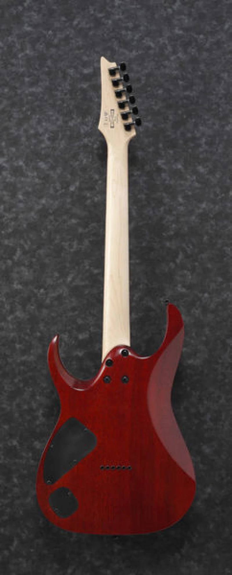 Ibanez RGA42FM Transparent Gray Flat