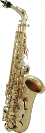 Roy Benson AS-302 Alto Saxophone