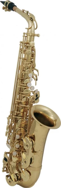 Roy Benson AS-202 Alto Saxophone