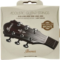 Ibanez IACSP6C Acoustic Steel Strings