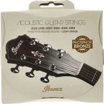 Ibanez IACSP6C Acoustic Steel Strings
