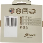 Ibanez IACSP6C Acoustic Steel Strings