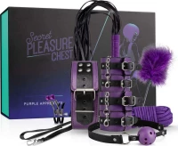 LoveBoxxx Secret Pleasure Chest Purple Apprentice