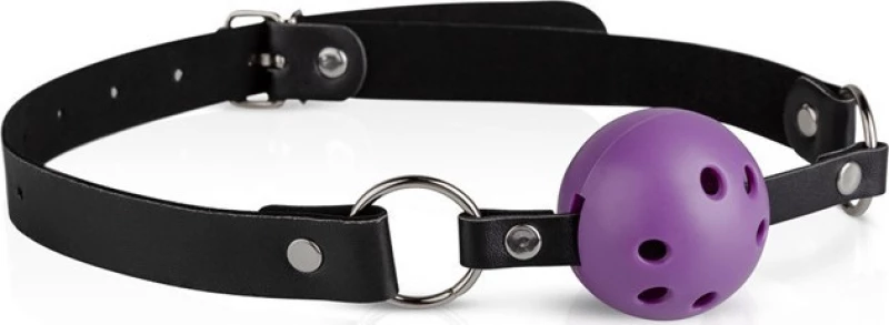 LoveBoxxx Secret Pleasure Chest Purple Apprentice