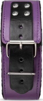 LoveBoxxx Secret Pleasure Chest Purple Apprentice