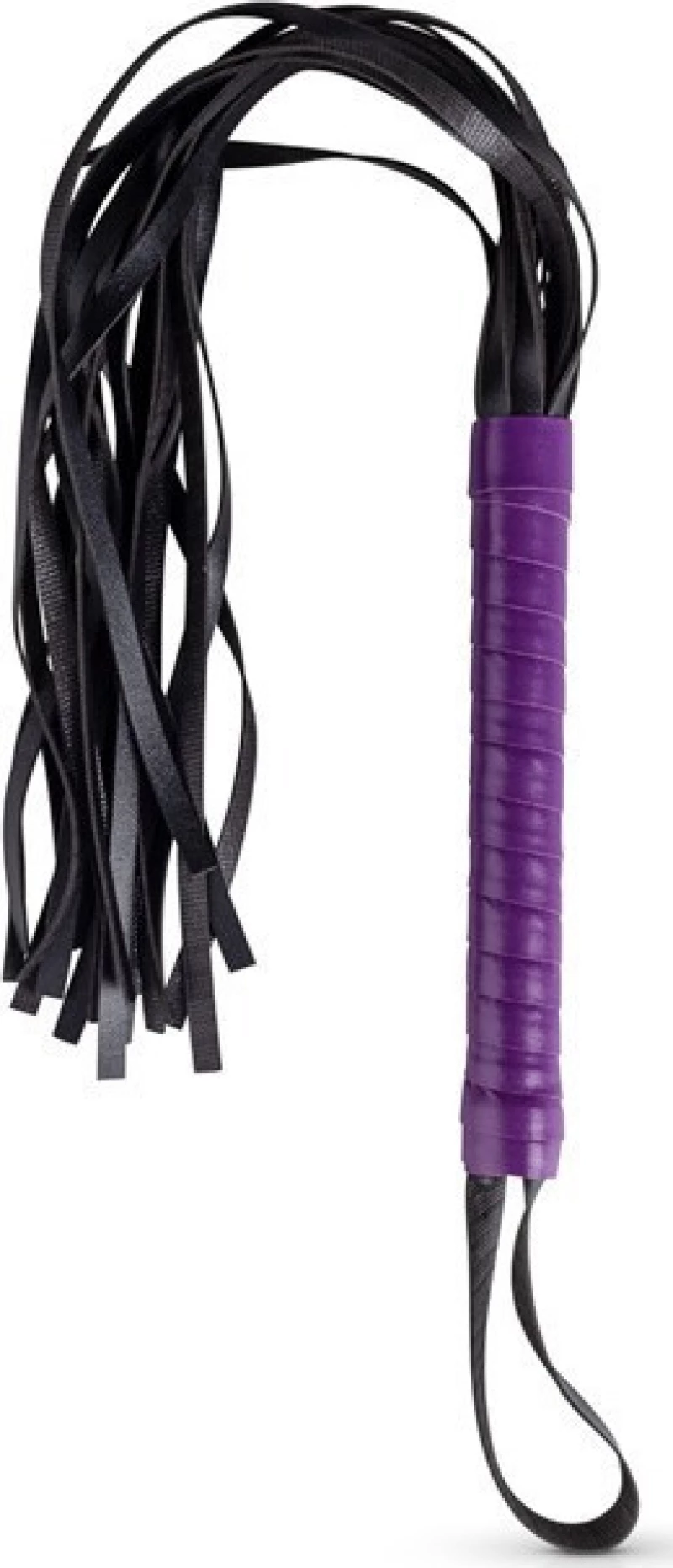 LoveBoxxx Secret Pleasure Chest Purple Apprentice