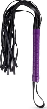 LoveBoxxx Secret Pleasure Chest Purple Apprentice