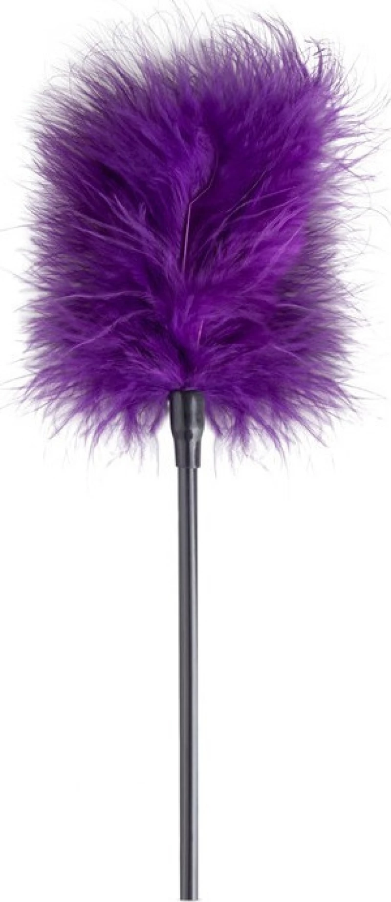LoveBoxxx Secret Pleasure Chest Purple Apprentice