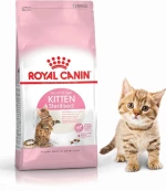 Royal Canin Kitten Sterilised 2kg