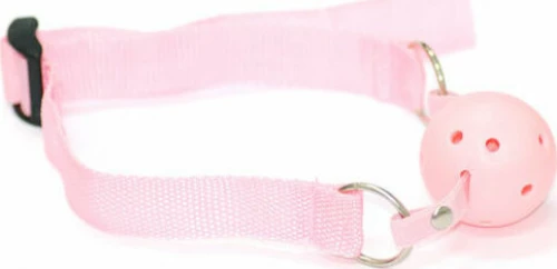 Simple Pink Ball Gag
