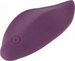 You2Toys Sweet Smile Panty Vibrator Purple