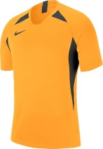 Nike Dri-Fit Striker V